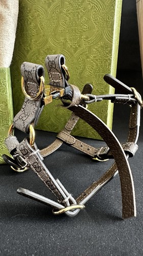 Gucci dog harness - gucci, supreme