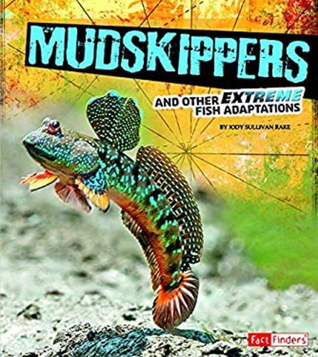 Mudskippers and other - mudskippers, extreme