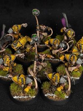 Pro-painted, Blood bowl, 12