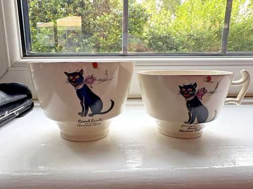 Arcadian black cat good - black,