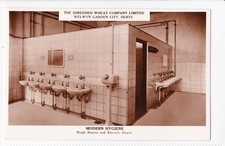 Welwyn Garden City - Shredded