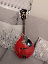 Washburn Mandolin M1S BLTR