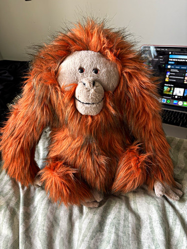 Retired jellycat oswald - retired,