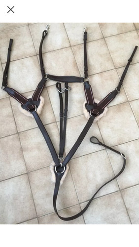 Point breastplate with - point,