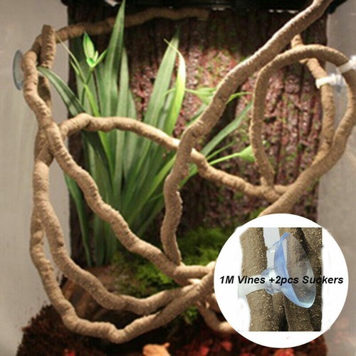 Terrarium reptile flexible - terrarium,