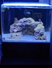 Aqua One Mini reef 120 Aquarium