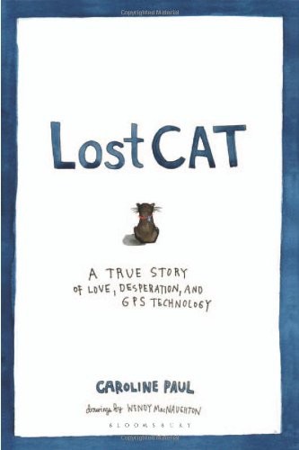 Lost cat true story - true,