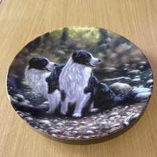 Danbury Mint The Border Collie