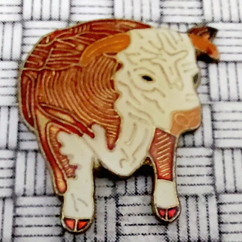 Vintage hereford cow bull - hereford,