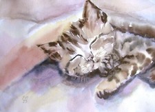 Dreaming Cat Original