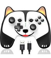 Nintendo Switch Controller