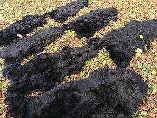 Real eco sheepskins sheepskin