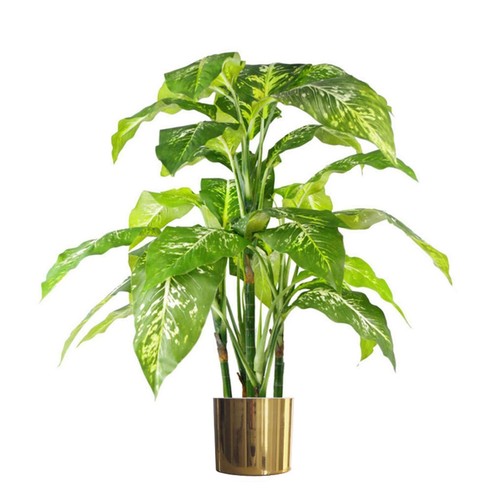 100cm large fox - 100cm, aglaonema