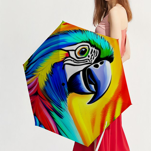Umbrella the colorful up - the,