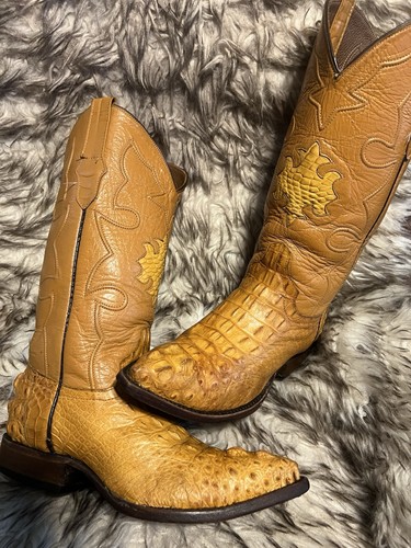 Cowtown men caiman print - cowtown,