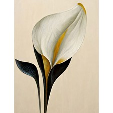 Elegant Modern Calla Lily Black Gold Beige Huge Wall Art Poster Print Giant