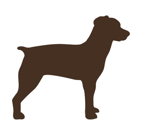 Brittany spaniel decal car - spaniel,