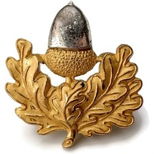 Original Cheshire Regiment Officers GILT Officer's Collar Badge