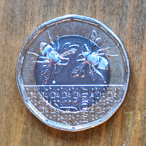 2025 one pound - 2025, coin