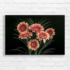 Vibrant Gerbera Daisy Canvas