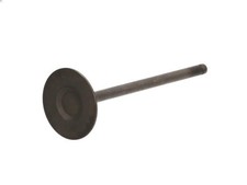 Intake Valve FRECCIA R6294/SNT