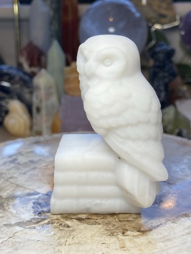 White jade owl carving sat - sat, on