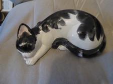 Large black and white cat made