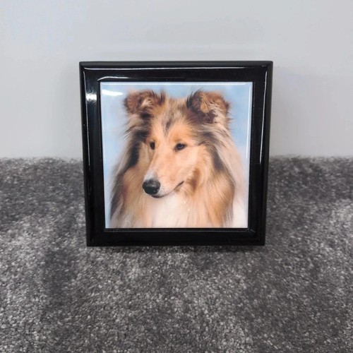 Lassie dog rough collie - , wooden