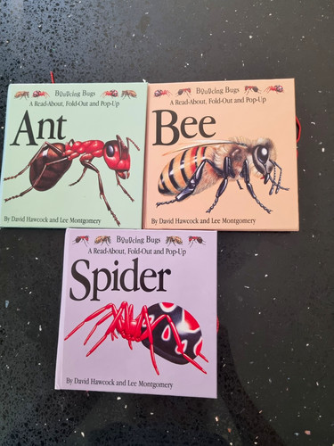 Bouncing bugs pop fold - bugs, fold-out