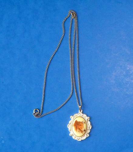 Vintage rough collie - vintage,