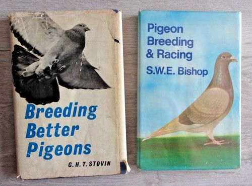 Racing pigeon breeding book - pigeon, x2