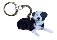 Border Collie Puppy Keyring - Border Collie Puppies - Sheep Dog Pups - PK5-K