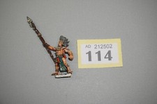 Warhammer Fantasy Citadel Wood Elves Albion Truthsayer - Metal