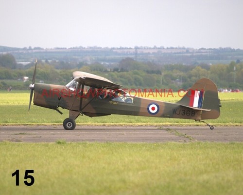 Auster 7x5 photograph - 1,
