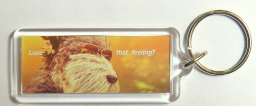 Dog love that feeling close - aa,
