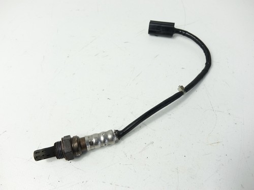 Lambda sensor ducati - lambda,