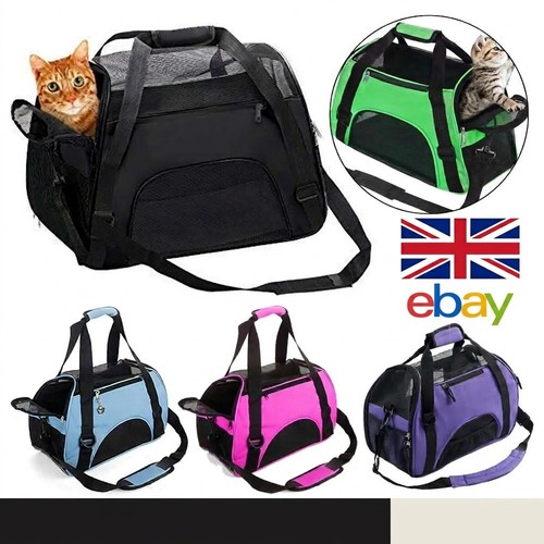 Breathable mesh pet - breathable,