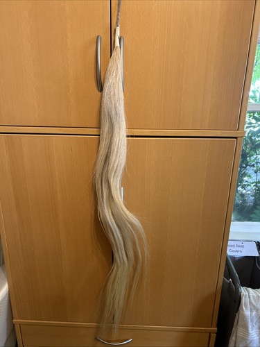 White horse show tail - horse,