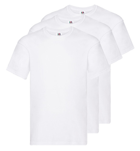 Mens fruit the loom t - fruit, of
