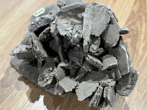 Large desert rose - desert, gypsum