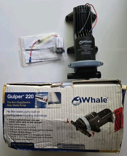 Whale gulper 220 bp1554 grey - whale,