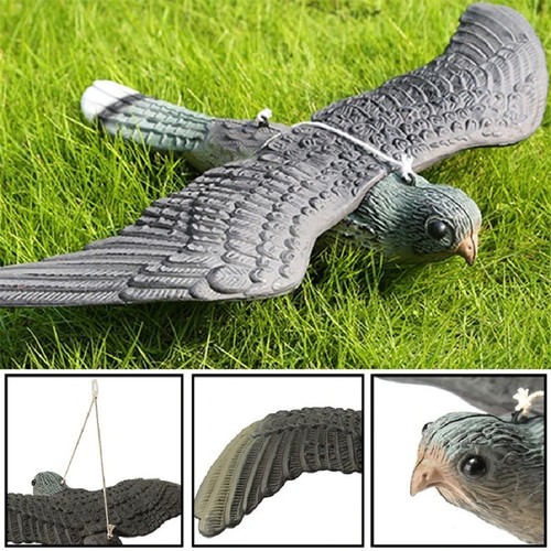 Fake falcon hawk bird - 3d,