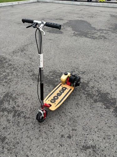 California ped sport - go-ped,