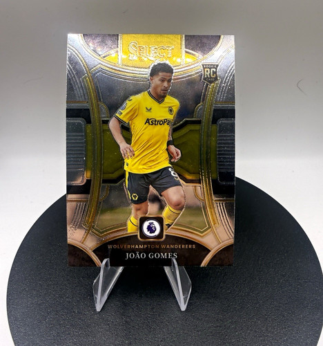 Panini select premier - premier, league
