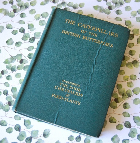 Caterpillars british - of,