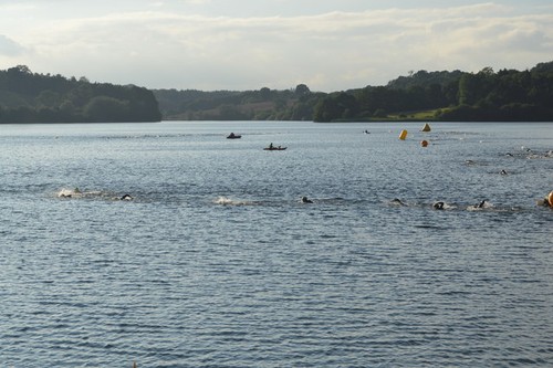 Photo 6x4 openwater - photo, swimmers