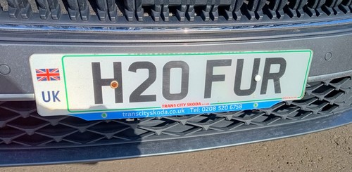 H20 fur private reg - private, number