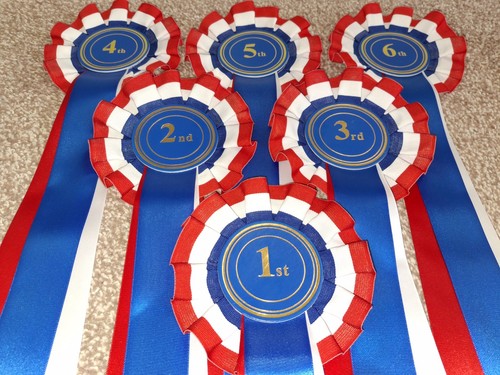 1st 6th tri - 6th, colour