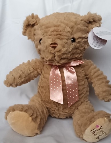 Plush teady bear soft toy - plush,