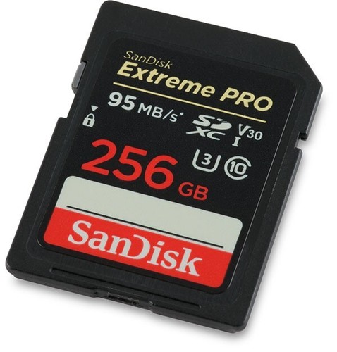 Sandisk 256gb extreme - extreme, pro